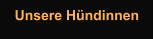 Unsere Hündinnen