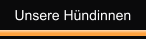 Unsere Hündinnen