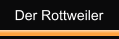 Der Rottweiler