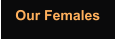 Our Females