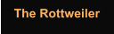 The Rottweiler