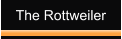 The Rottweiler