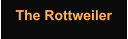 The Rottweiler