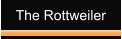 The Rottweiler